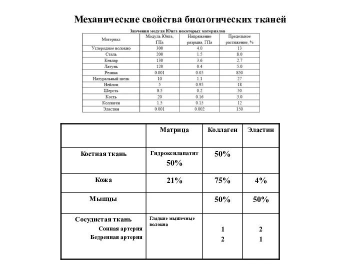 Механические свойства биологических тканей