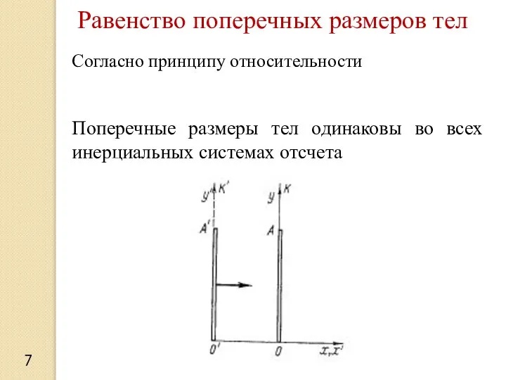 7 Равенство поперечных размеров тел Согласно принципу относительности Поперечные размеры тел