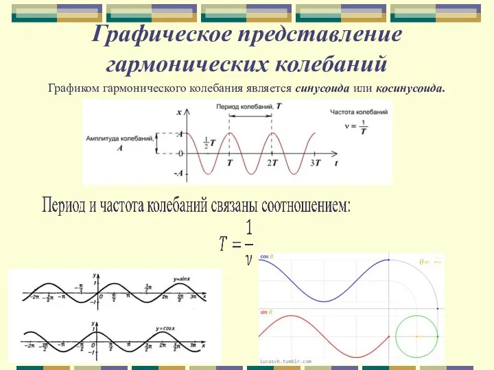 Графическое представление гармонических колебаний Графиком гармонического колебания является синусоида или косинусоида.