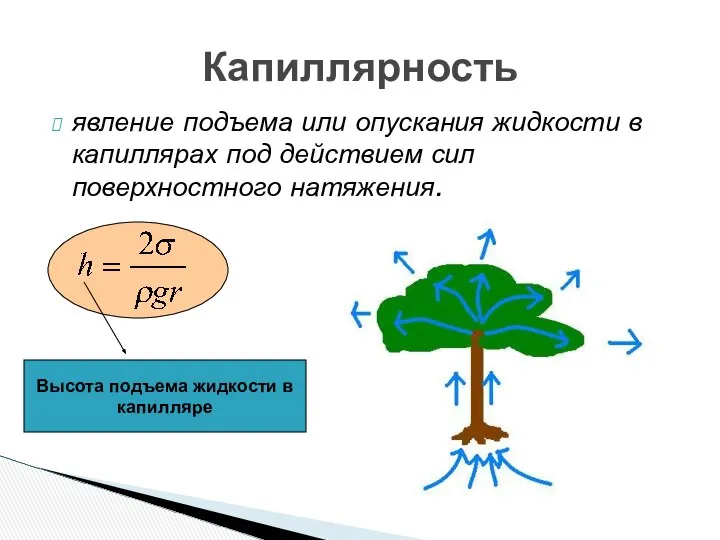 явление подъема или опускания жидкости в капиллярах под действием сил поверхностного натяжения. Капиллярность