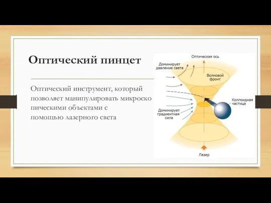 Оптический пинцет Оптический инструмент, который позволяет манипулировать микроскопическими объектами с помощью лазерного света