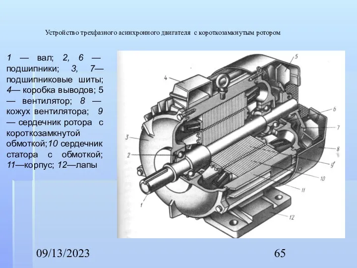 09/13/2023 Устройство трехфазного асинхронного двигателя с короткозамкнутым ротором 1 — вал;