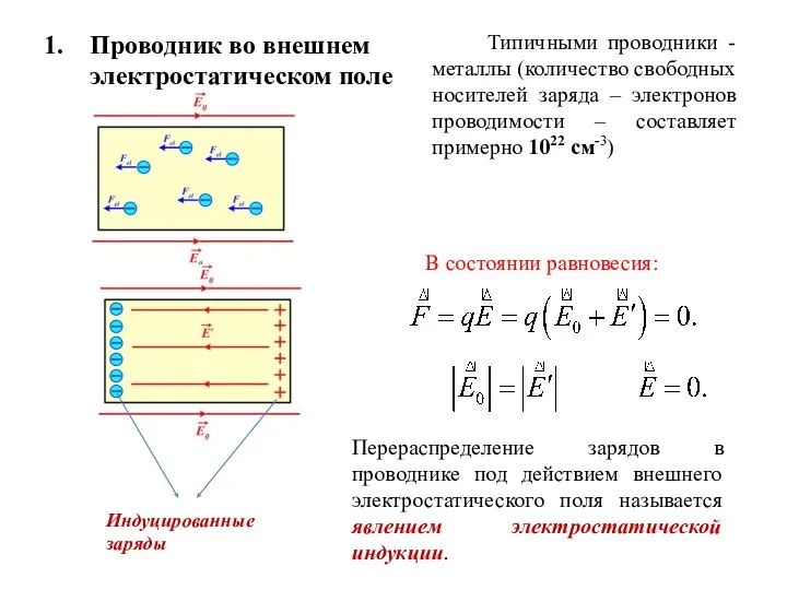 Проводник во внешнем электростатическом поле Типичными проводники - металлы (количество свободных