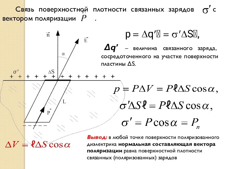 Связь поверхностной плотности связанных зарядов с вектором поляризации . Δq′ –