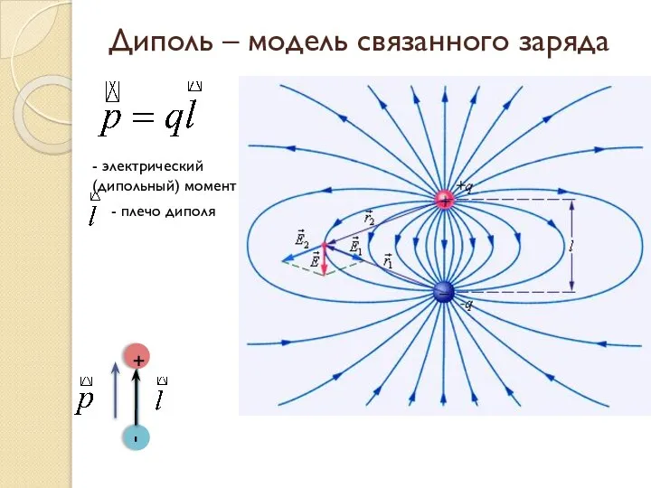 Диполь – модель связанного заряда - электрический (дипольный) момент + - - плечо диполя