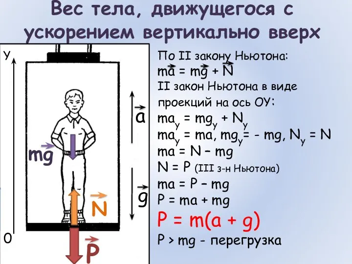 Вес тела, движущегося с ускорением вертикально вверх mg N P По