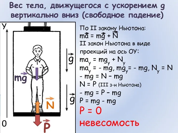 Вес тела, движущегося с ускорением g вертикально вниз (свободное падение) mg