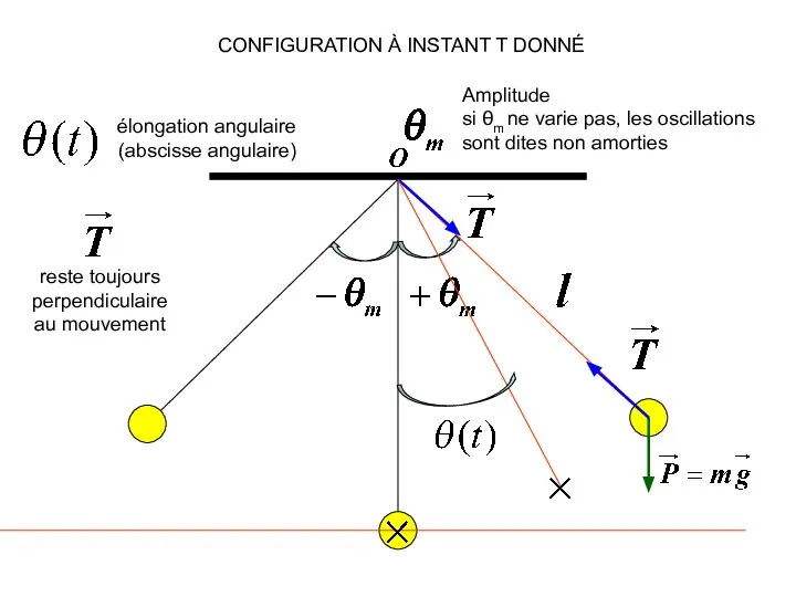 élongation angulaire (abscisse angulaire) Amplitude si θm ne varie pas, les