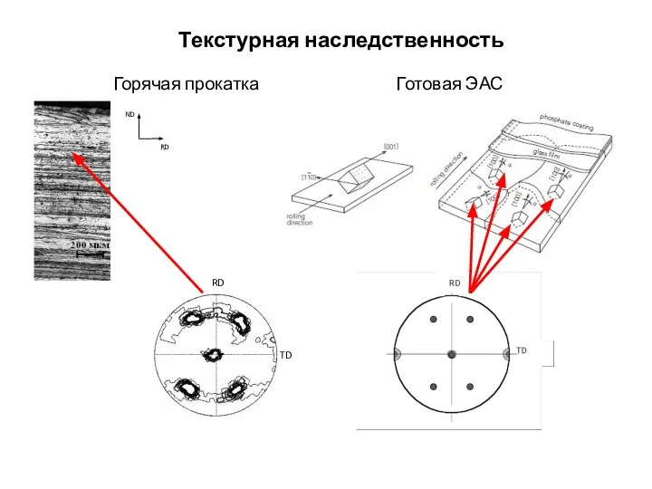 RD TD Текстурная наследственность Горячая прокатка Готовая ЭАС