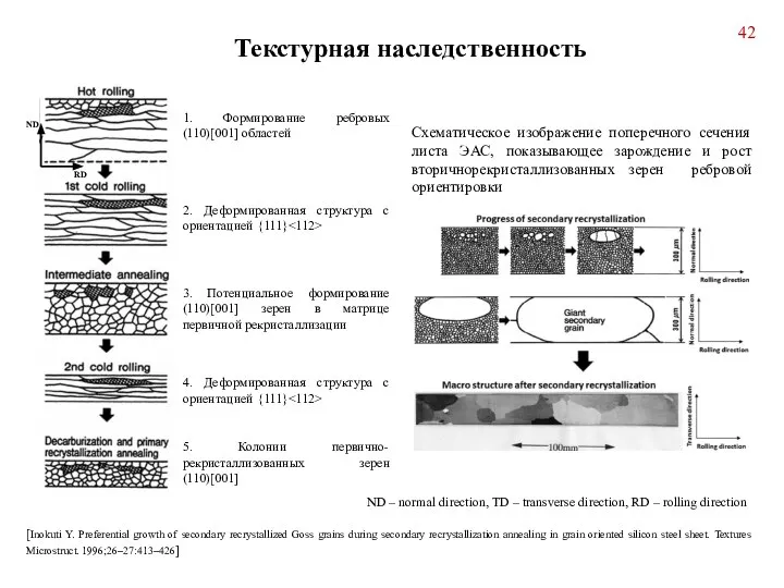 Текстурная наследственность Схематическое изображение поперечного сечения листа ЭАС, показывающее зарождение и