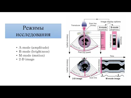 Режимы исследования A-mode (amplitude) B-mode (brightness) M-mode (motion) 2-D image