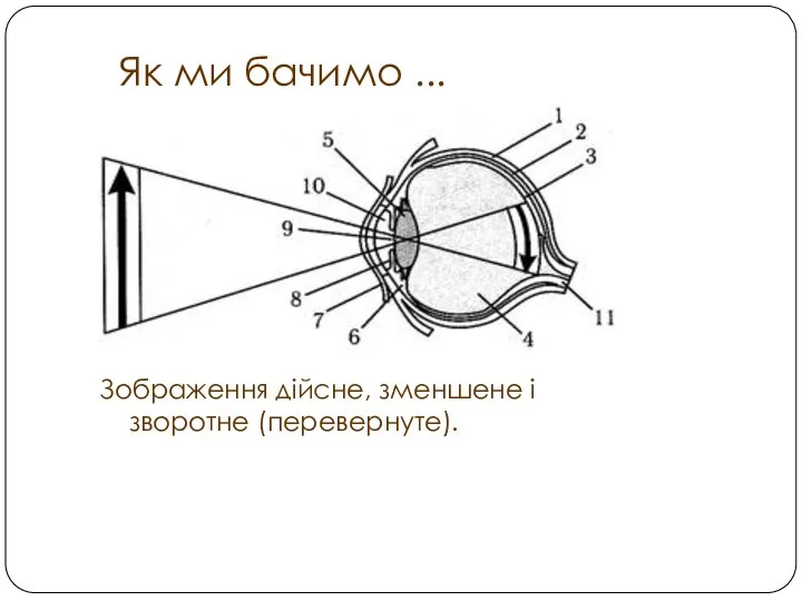 Як ми бачимо ... Зображення дійсне, зменшене і зворотне (перевернуте).