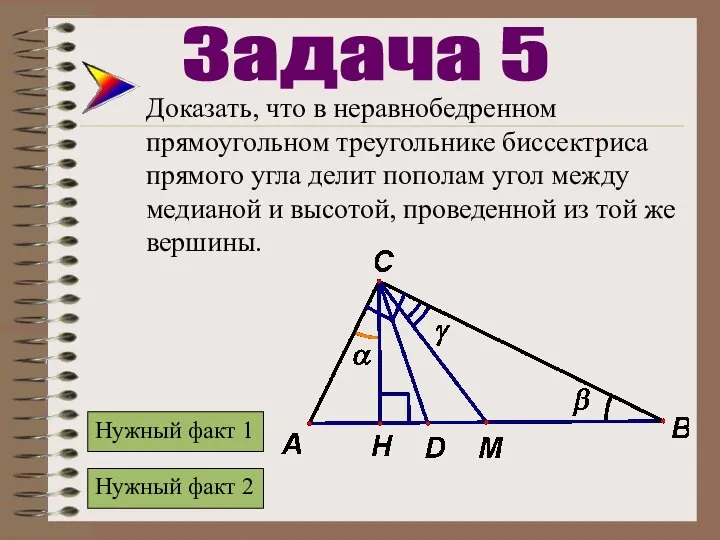 Доказать, что в неравнобедренном прямоугольном треугольнике биссектриса прямого угла делит пополам