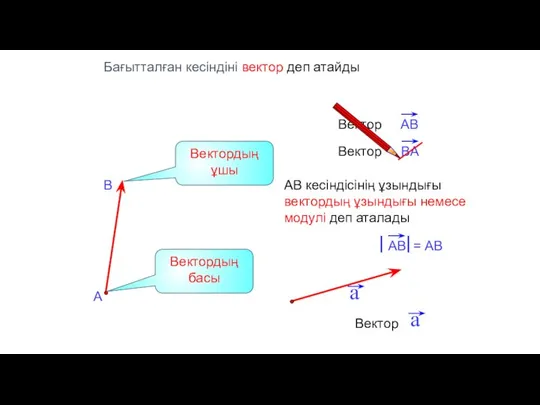 АВ кесіндісінің ұзындығы вектордың ұзындығы немесе модулі деп аталады Бағытталған кесіндіні