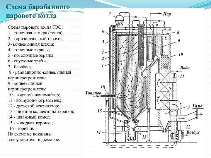 Схема барабанного парового котла Схема парового котла ТЭС. 1 - топочная