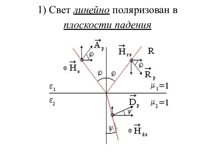 1) Свет линейно поляризован в плоскости падения