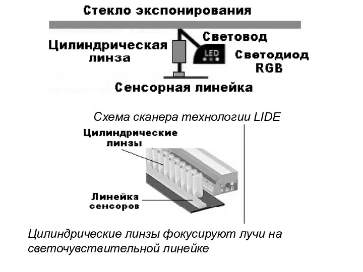 Схема сканера технологии LIDE Цилиндрические линзы фокусируют лучи на светочувствительной линейке