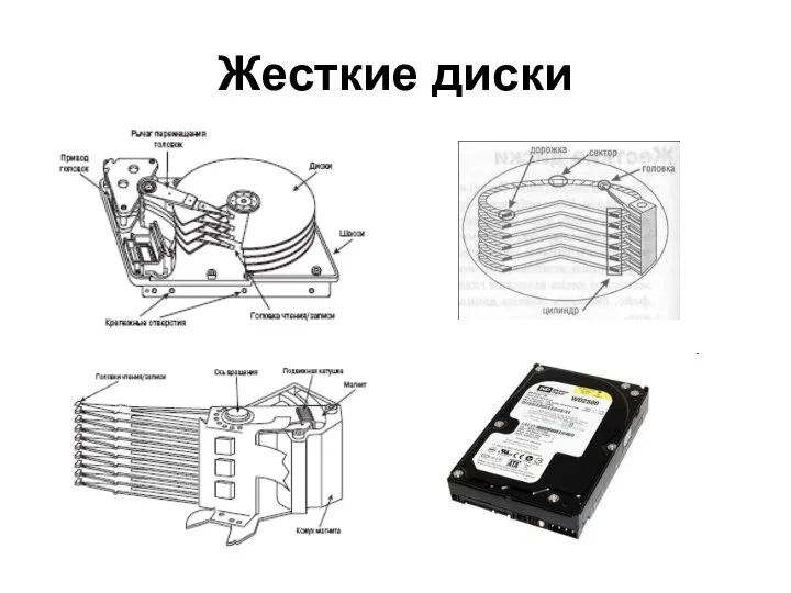 Жесткие диски