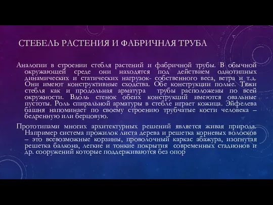 СТЕБЕЛЬ РАСТЕНИЯ И ФАБРИЧНАЯ ТРУБА Аналогии в строении стебля растений и