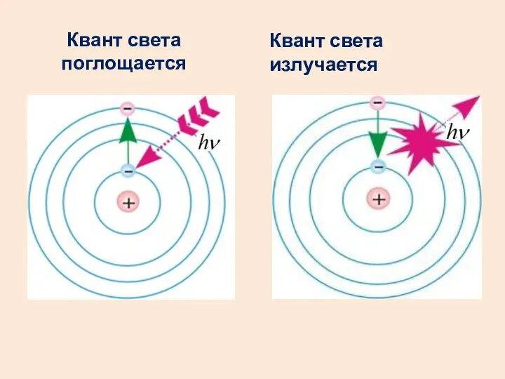 Квант света поглощается Квант света излучается