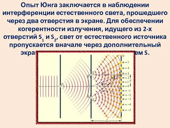 Опыт Юнга заключается в наблюдении интерференции естественного света, прошедшего через два