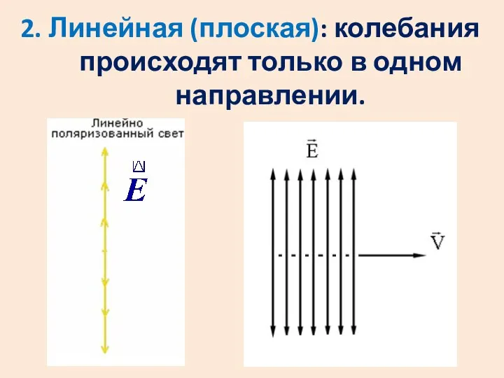 2. Линейная (плоская): колебания происходят только в одном направлении.