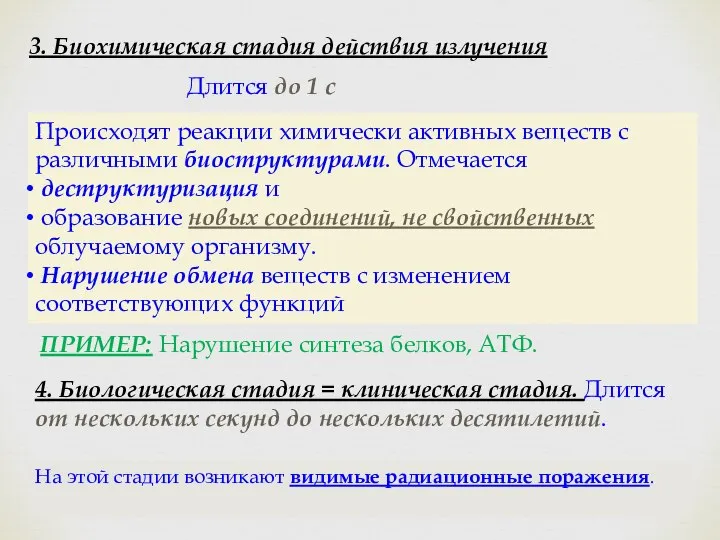 3. Биохимическая стадия действия излучения Длится до 1 с Происходят реакции