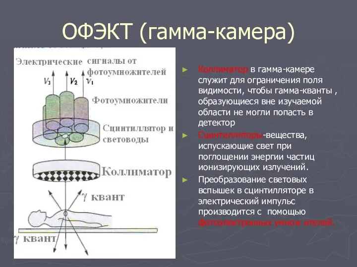 ОФЭКТ (гамма-камера) Коллиматор в гамма-камере служит для ограничения поля видимости, чтобы