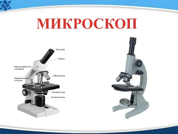 МИКРОСКОП