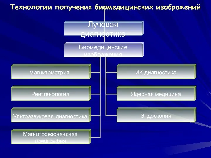 Технологии получения биомедицинских изображений