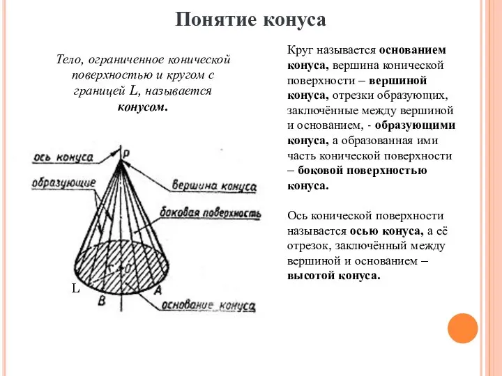 Круг называется основанием конуса, вершина конической поверхности – вершиной конуса, отрезки