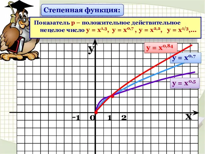 Степенная функция: Показатель р – положительное действительное нецелое число у =