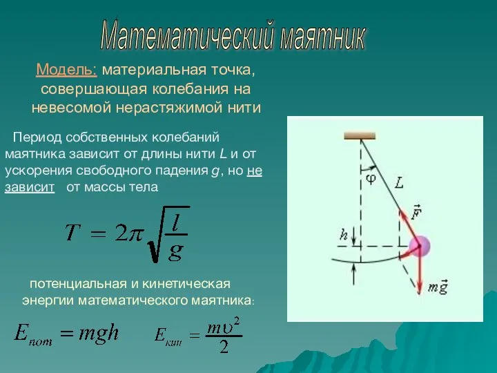 Математический маятник Модель: материальная точка, совершающая колебания на невесомой нерастяжимой нити