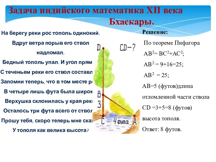 Задача индийского математика XII века Бхаскары. На берегу реки рос тополь