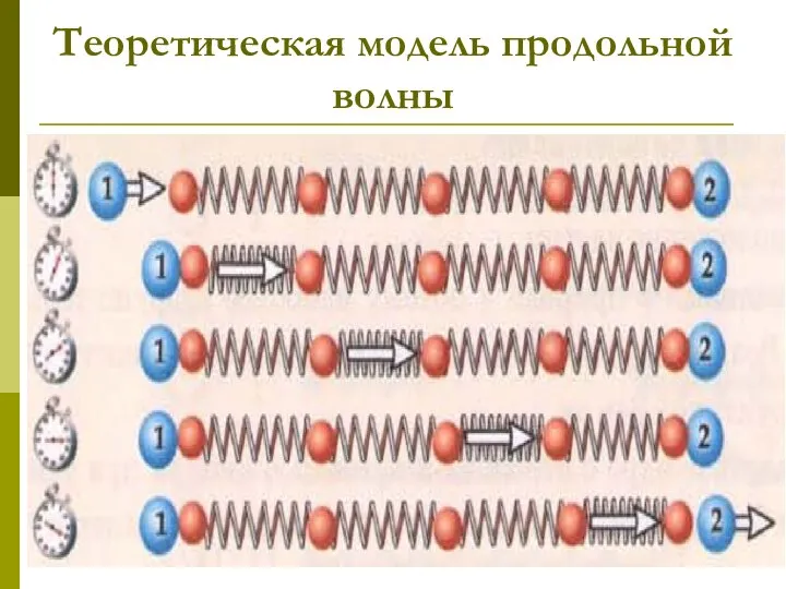 Теоретическая модель продольной волны