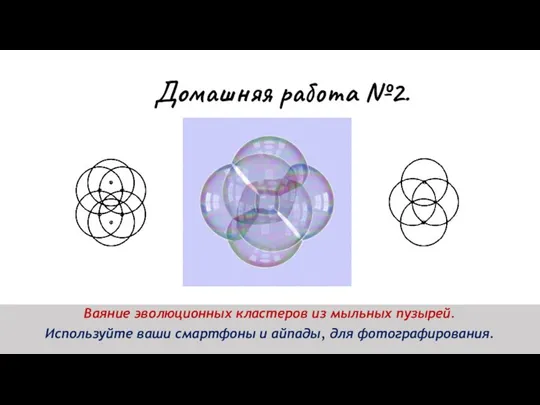 Домашняя работа №2. Ваяние эволюционных кластеров из мыльных пузырей. Используйте ваши смартфоны и айпады, для фотографирования.