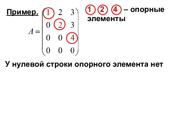 Пример. У нулевой строки опорного элемента нет