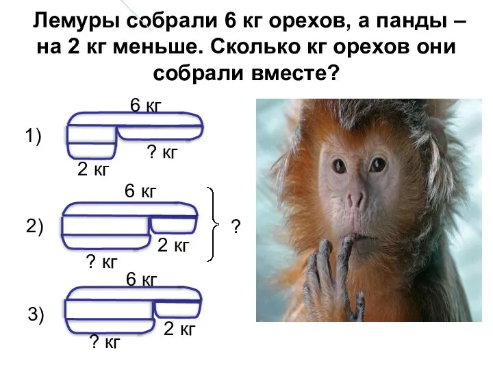 Лемуры собрали 6 кг орехов, а панды – на 2 кг