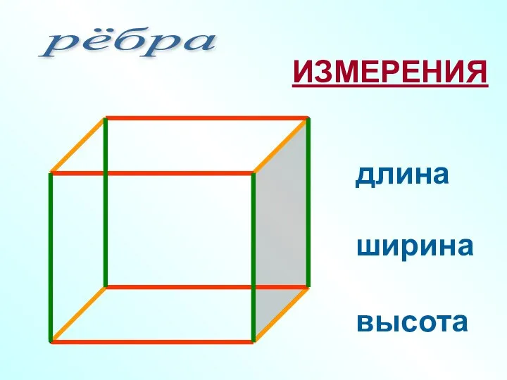 рёбра длина ширина высота ИЗМЕРЕНИЯ