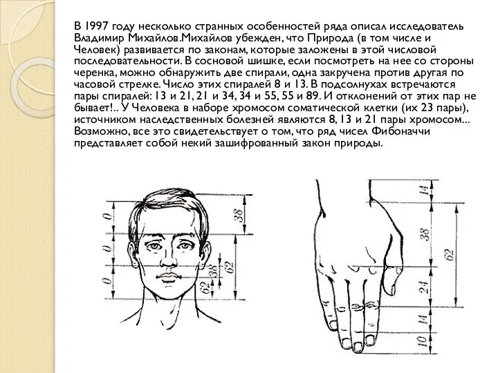 В 1997 году несколько странных особенностей ряда описал исследователь Владимир Михайлов.Михайлов