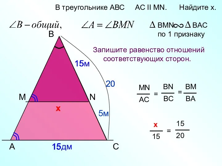 5м 20 х х A B N В треугольнике АВС AC