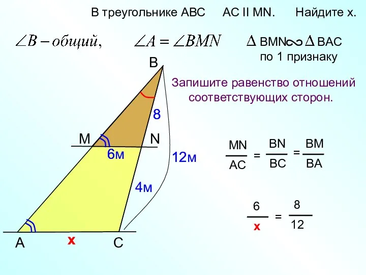 12м 8 A B N В треугольнике АВС AC II MN.