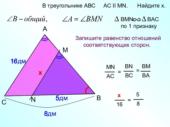 A B M В треугольнике АВС AC II MN. Найдите x.