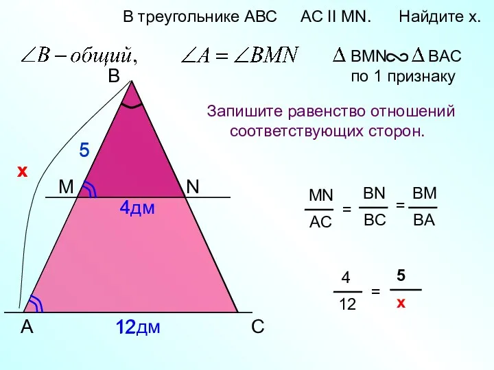 х х A B N В треугольнике АВС AC II MN.