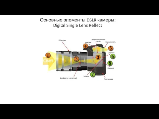 Основные элементы DSLR камеры: Digital Single Lens Reflect