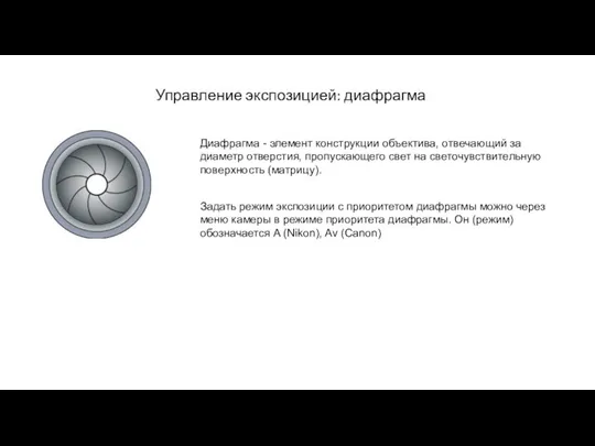 Управление экспозицией: диафрагма Диафрагма - элемент конструкции объектива, отвечающий за диаметр