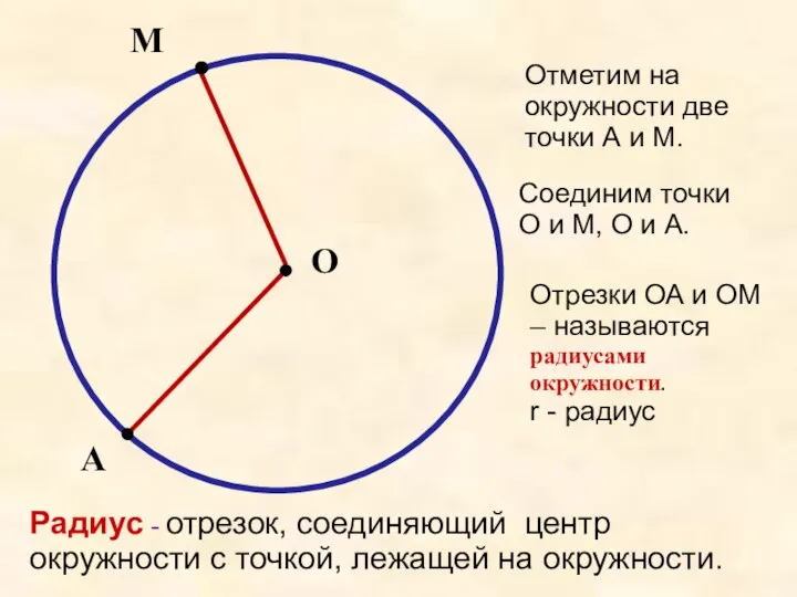 О М А Отметим на окружности две точки А и М.