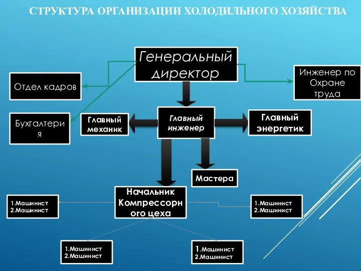 СТРУКТУРА ОРГАНИЗАЦИИ ХОЛОДИЛЬНОГО ХОЗЯЙСТВА Генеральный директор Главный инженер Инженер по Охране