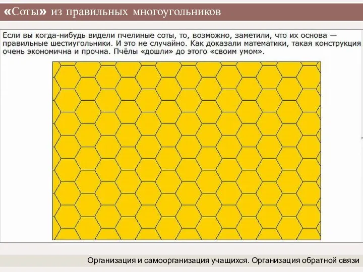 «Соты» из правильных многоугольников Организация и самоорганизация учащихся. Организация обратной связи