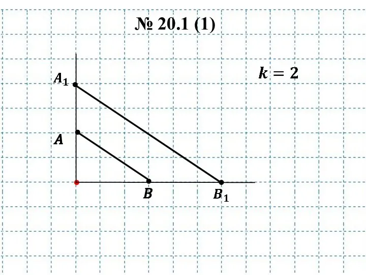 A B № 20.1 (1)